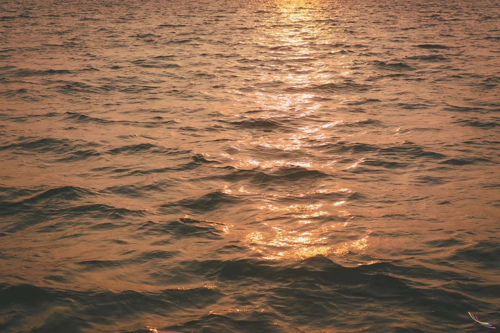 Kerala photo 13