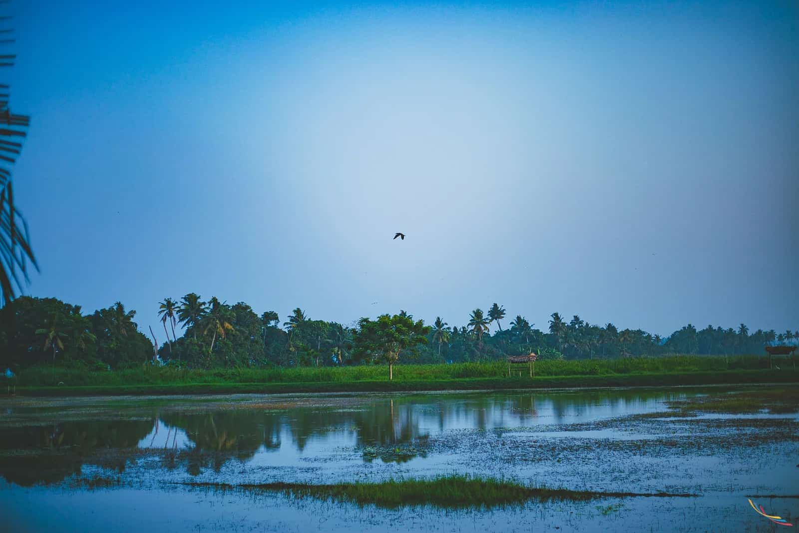 Kerala photo 23