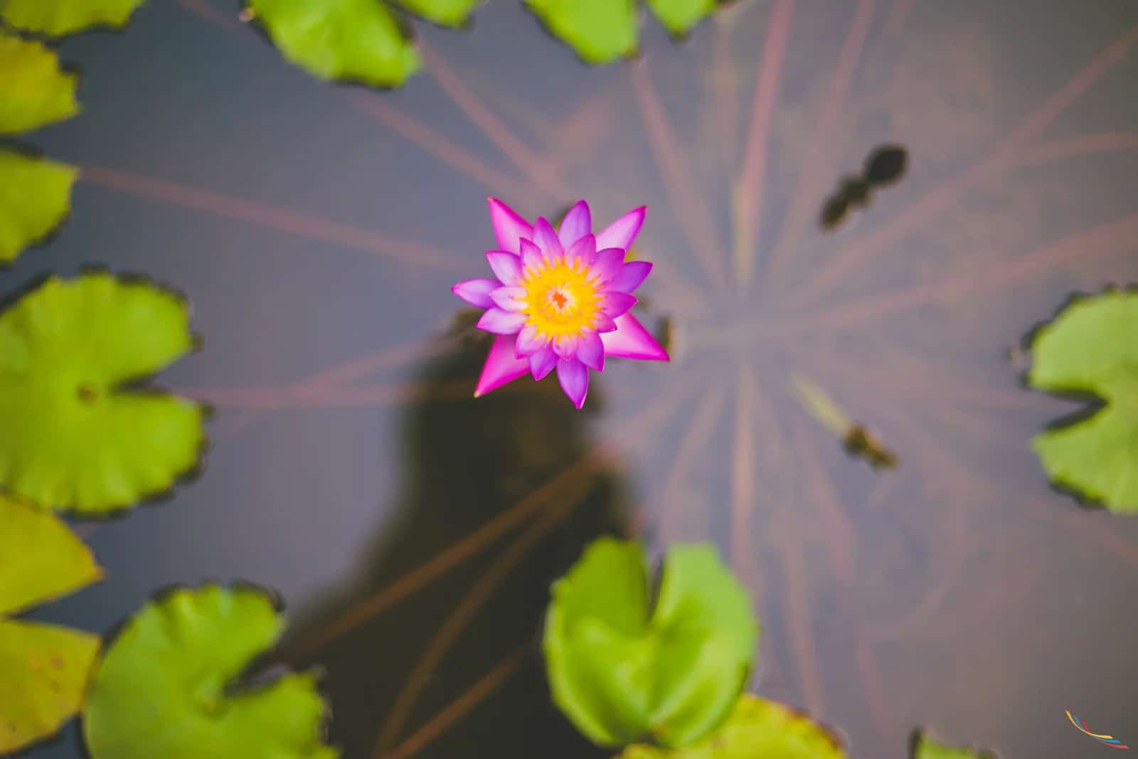 Kerala photo 34