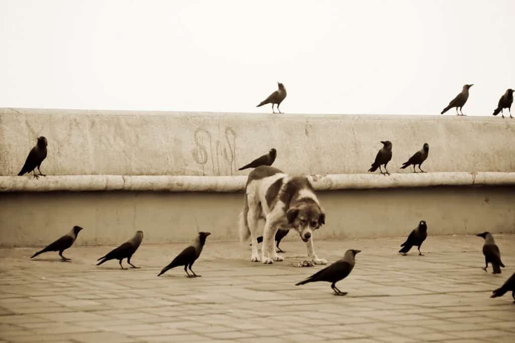 Mumbai photo 12