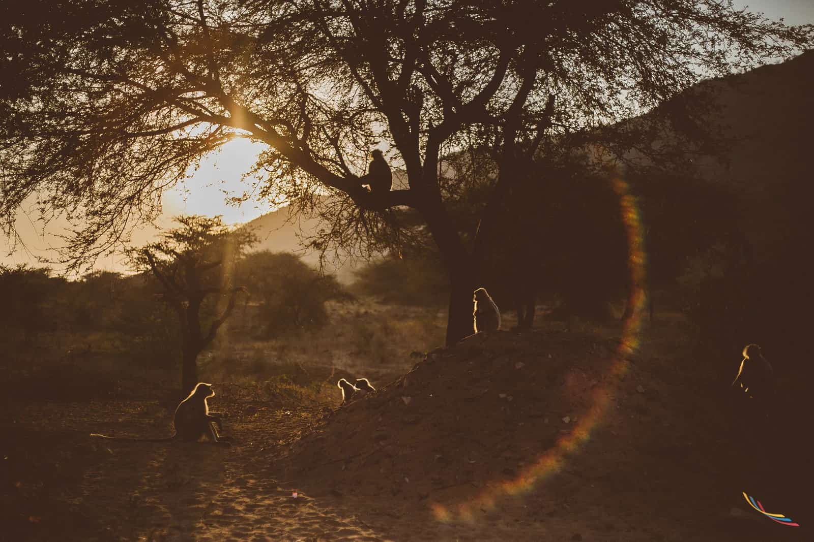 Pushkar photo 4