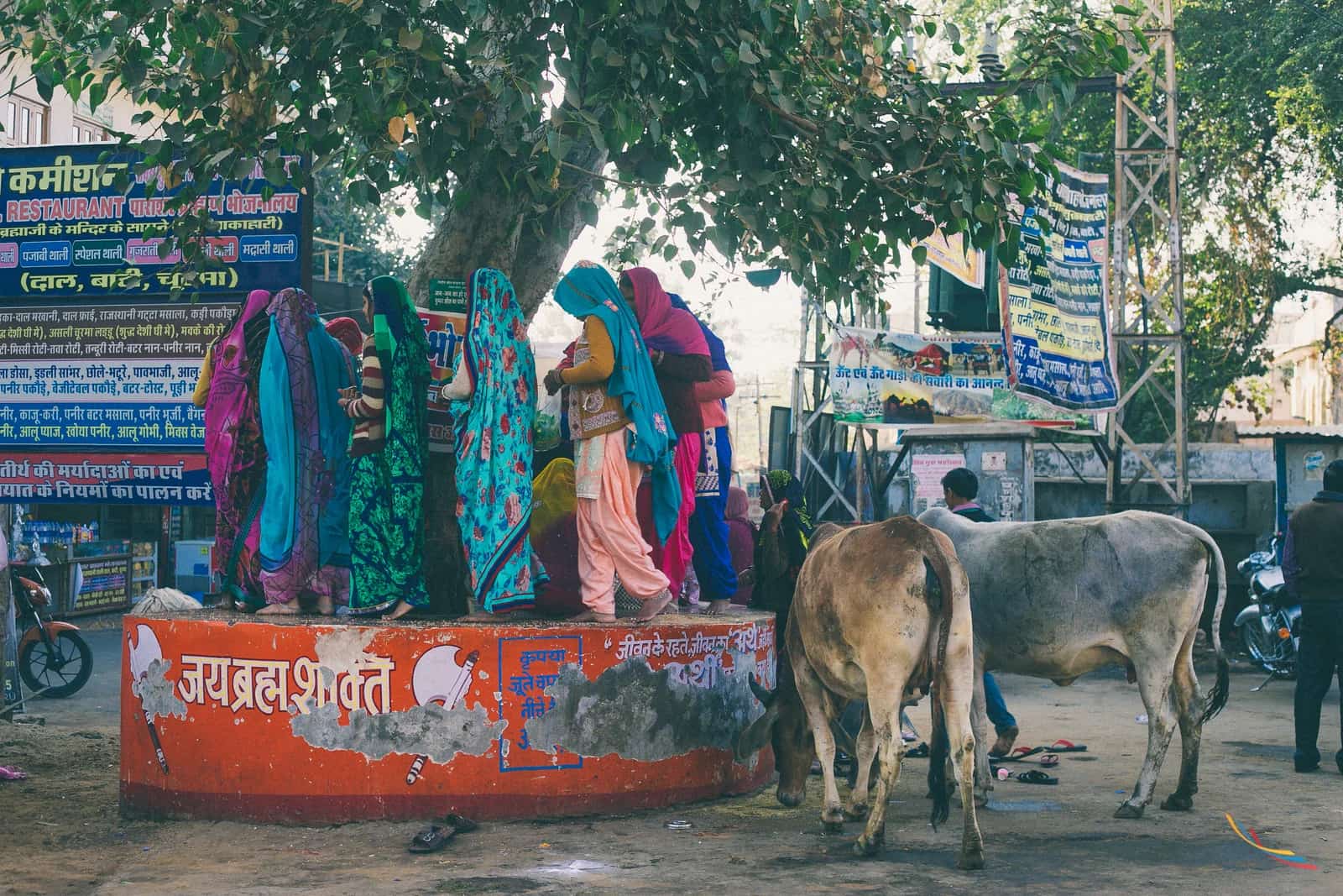 Pushkar photo 32