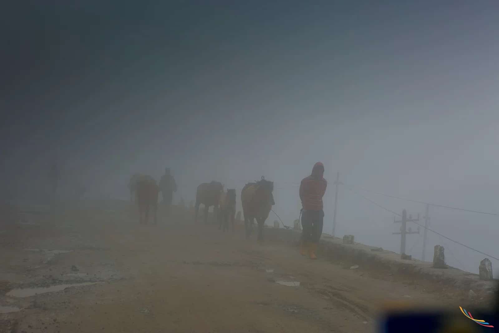Sikkim photo 5