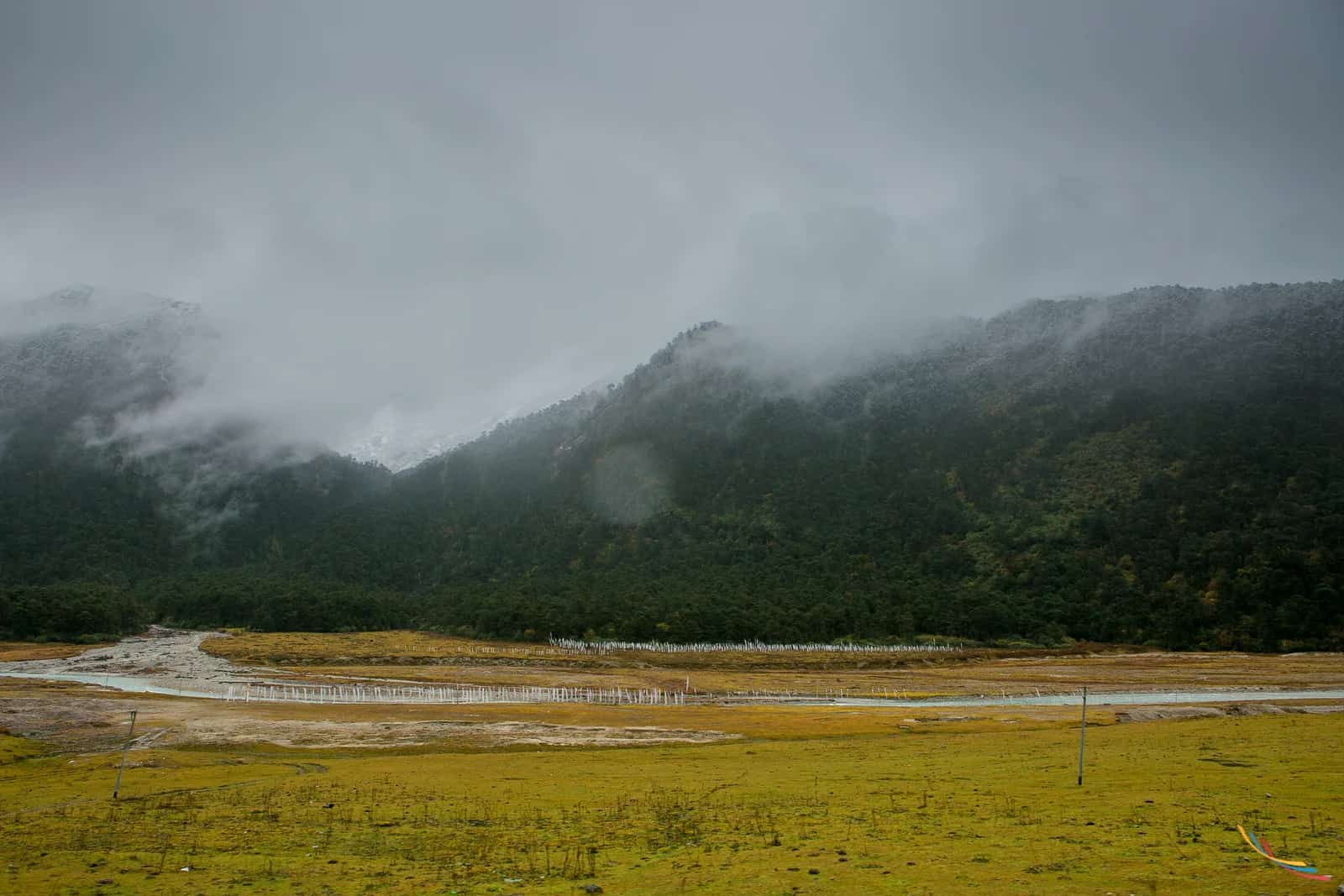 Sikkim photo 7