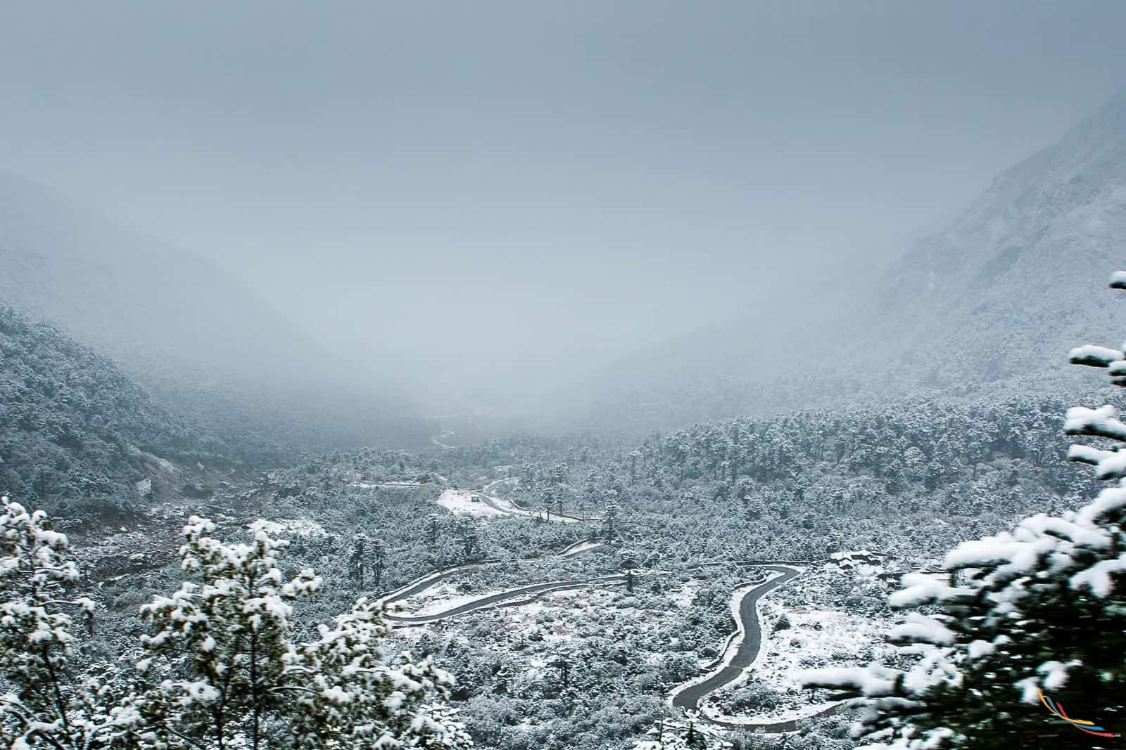 Sikkim photo 12
