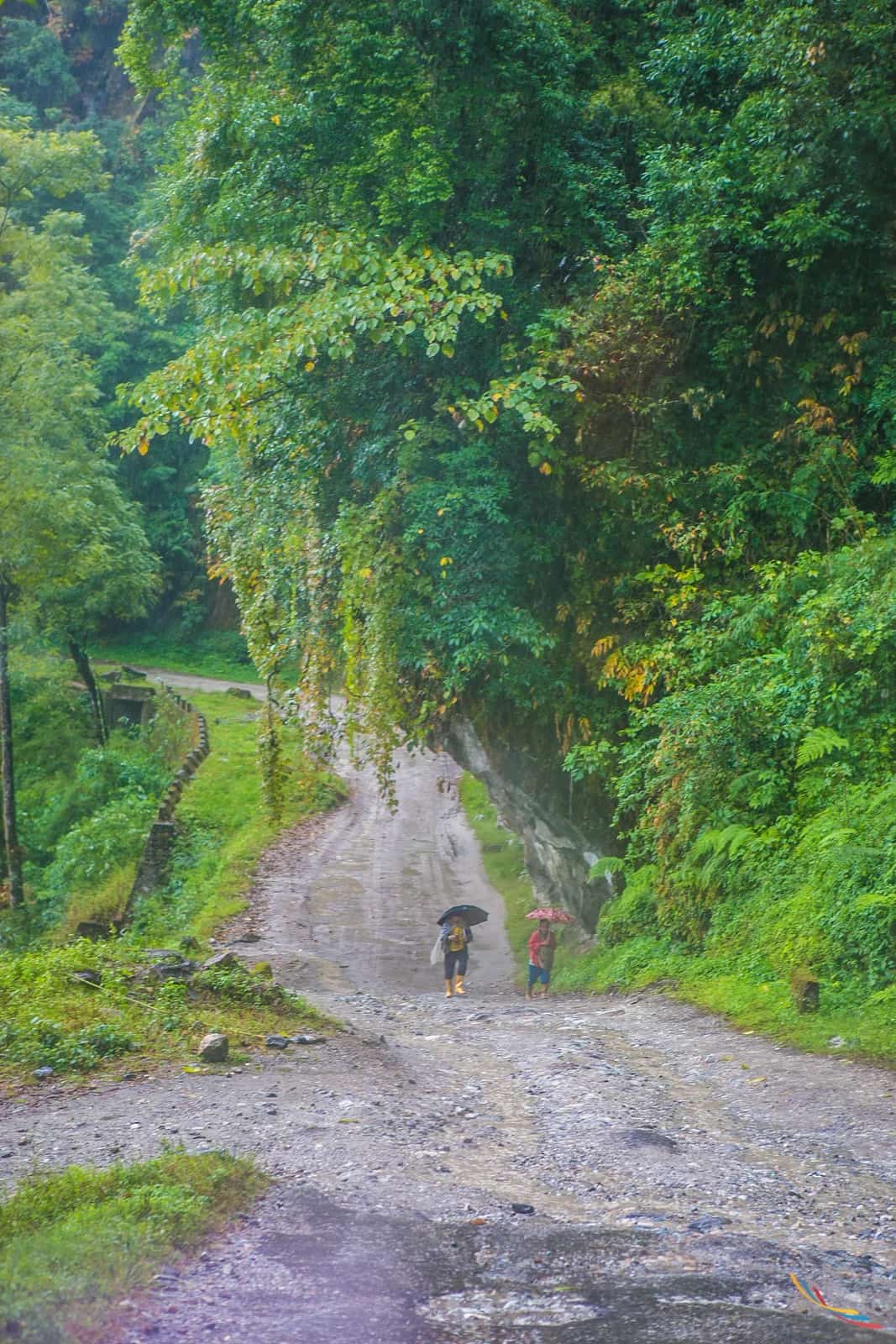 Sikkim photo 31