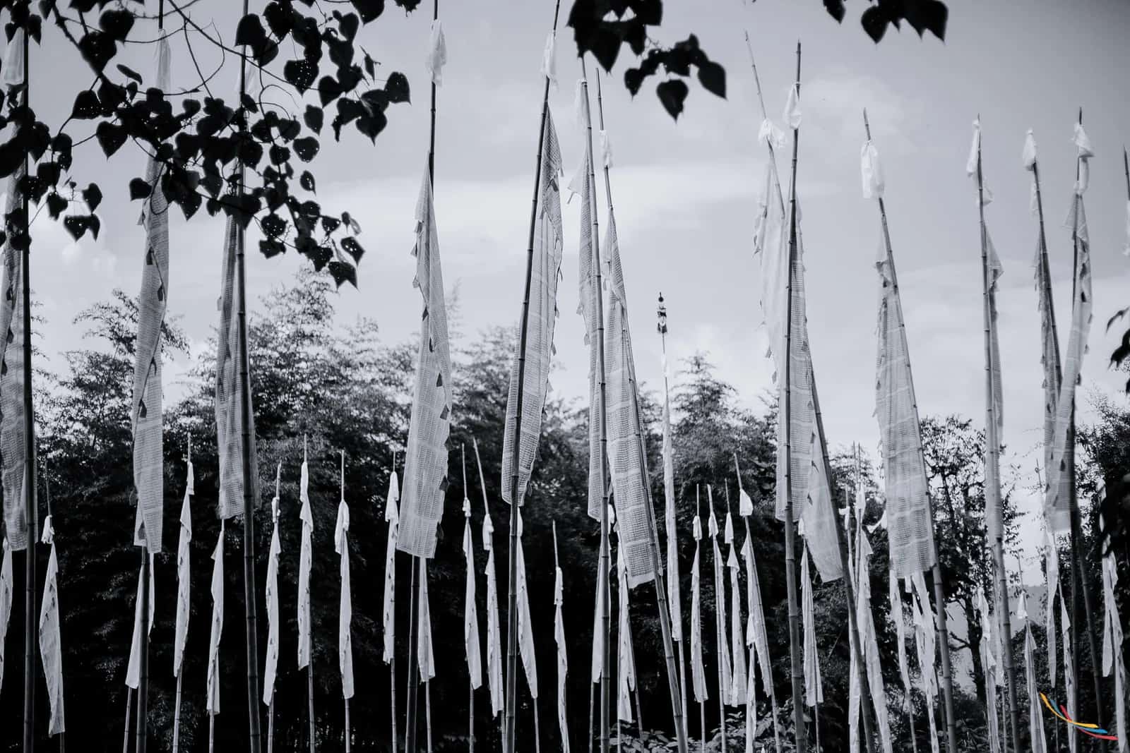 Sikkim photo 51