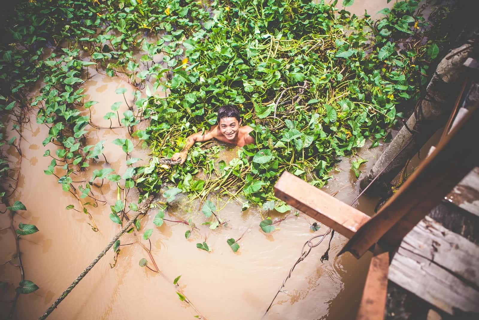 Vietnam photo 37