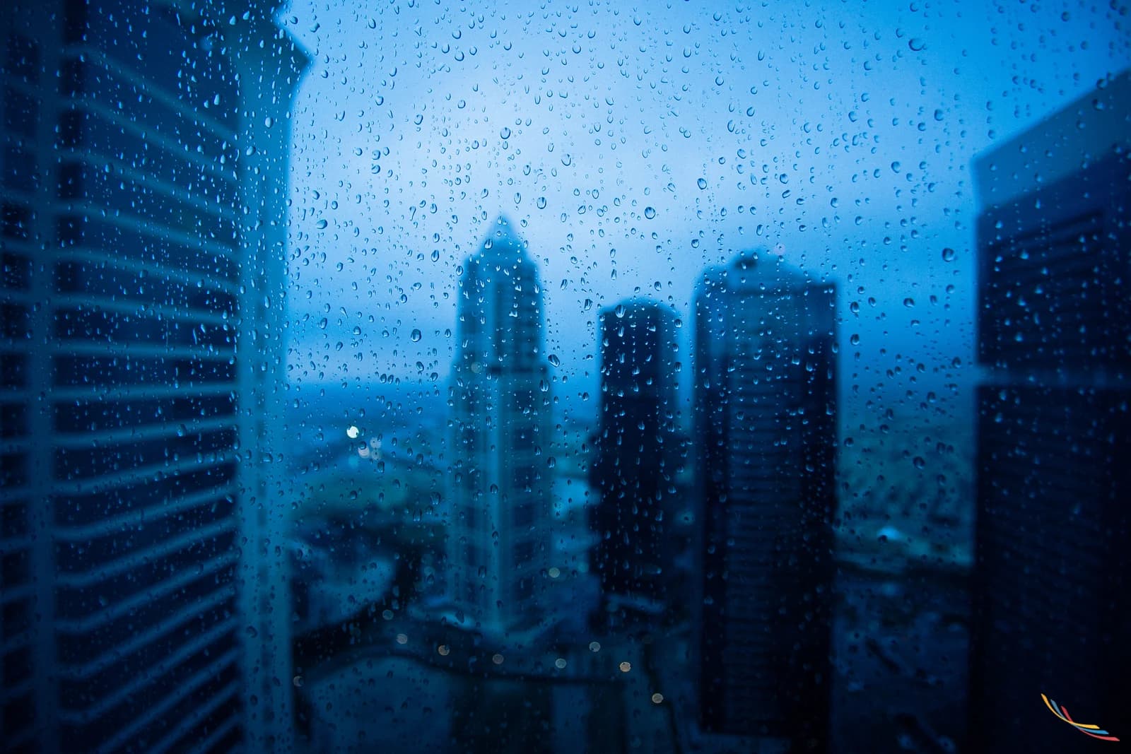 Dubai photo 25