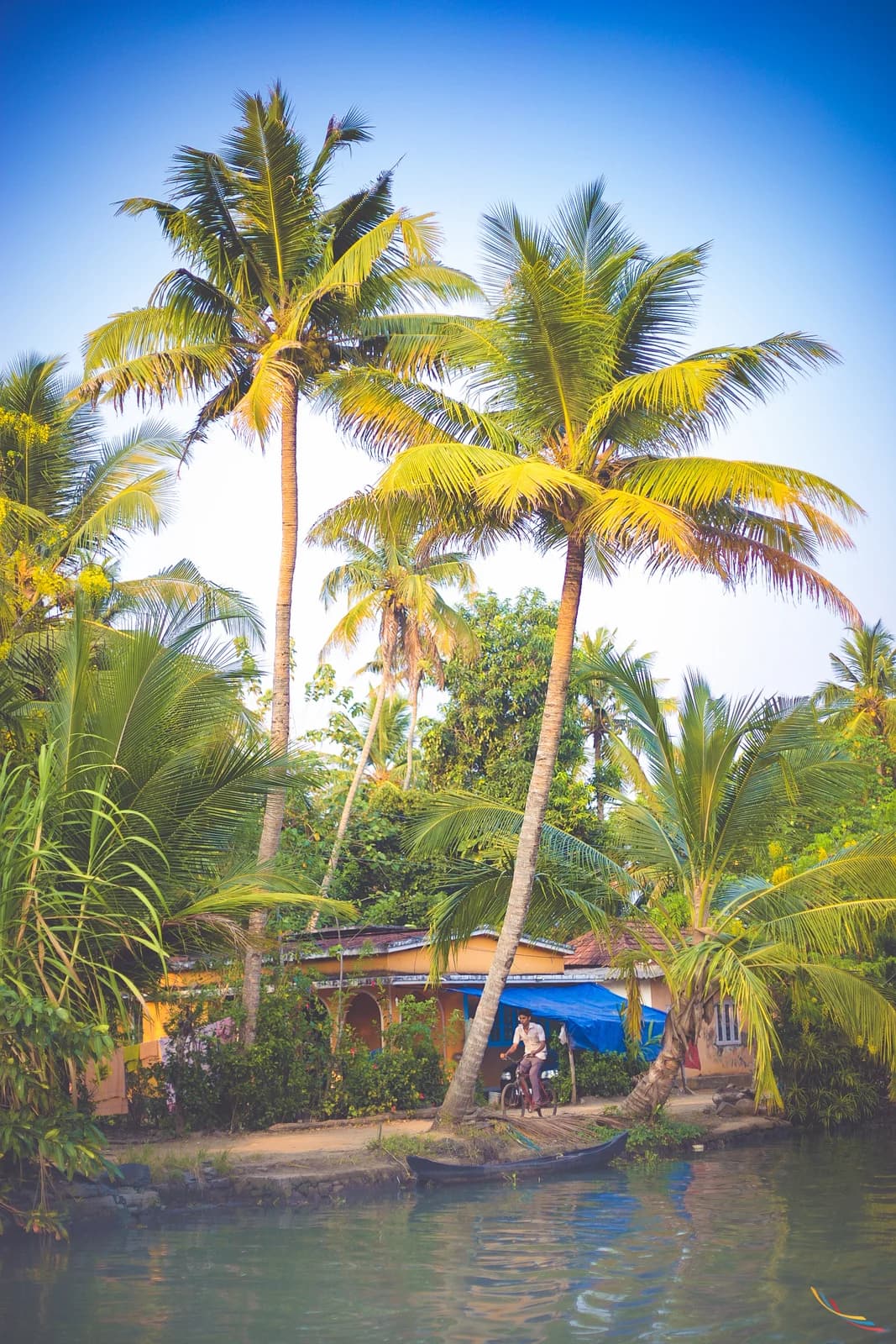 Kerala photo 2