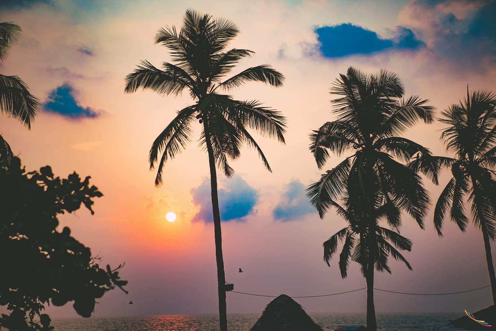 Kerala photo 6
