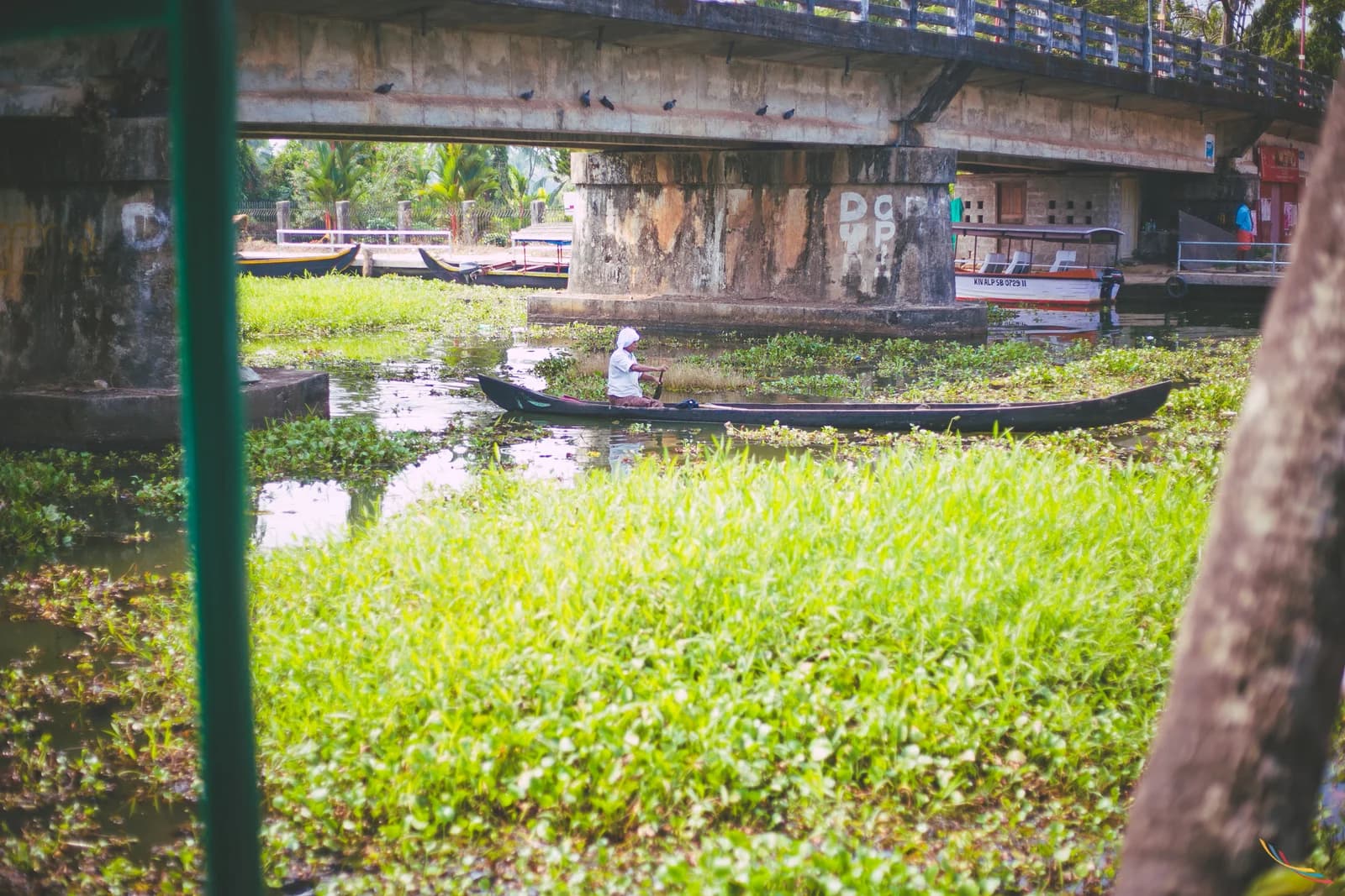 Kerala photo 9