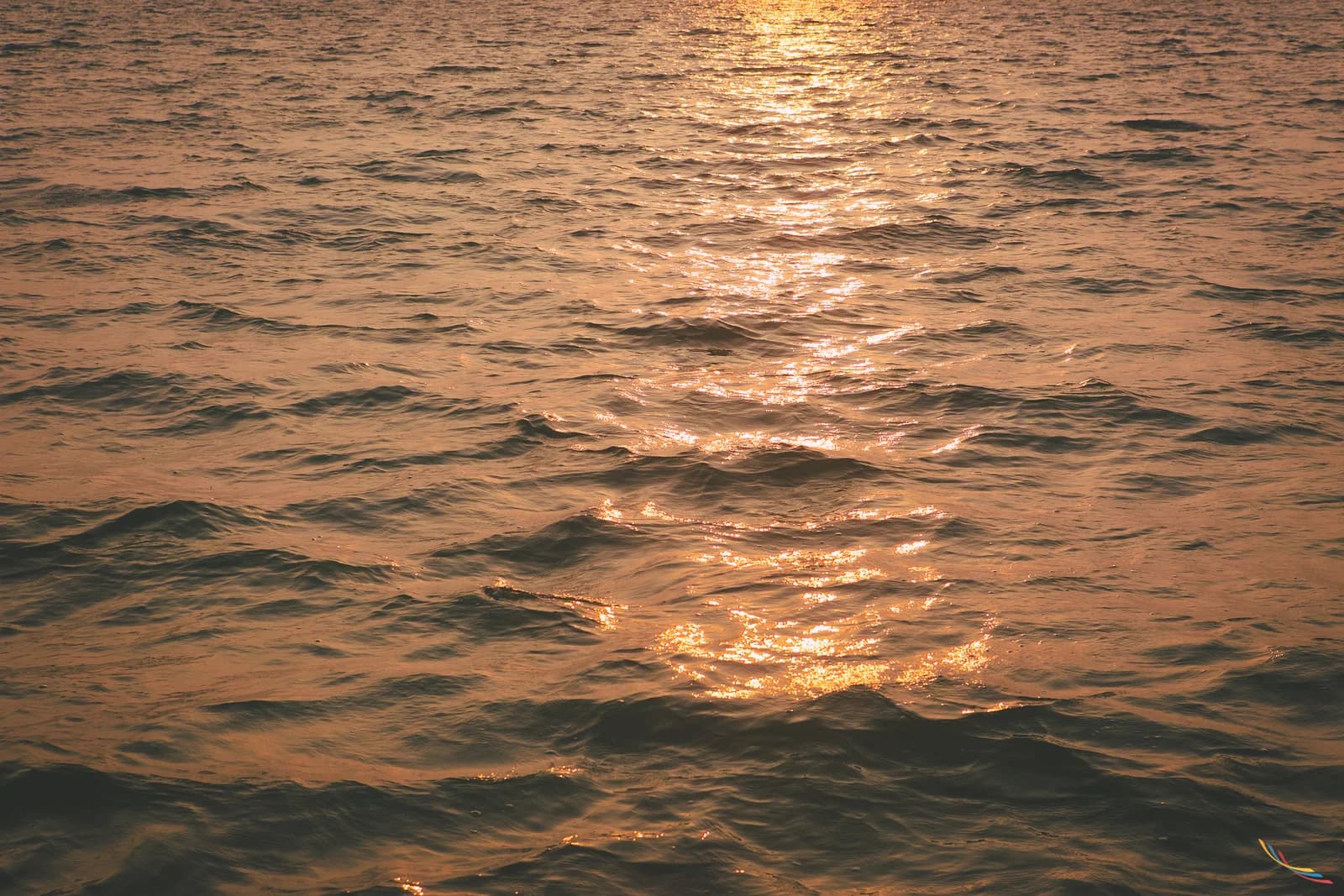 Kerala photo 13