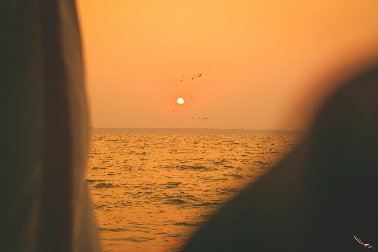 Kerala photo 14