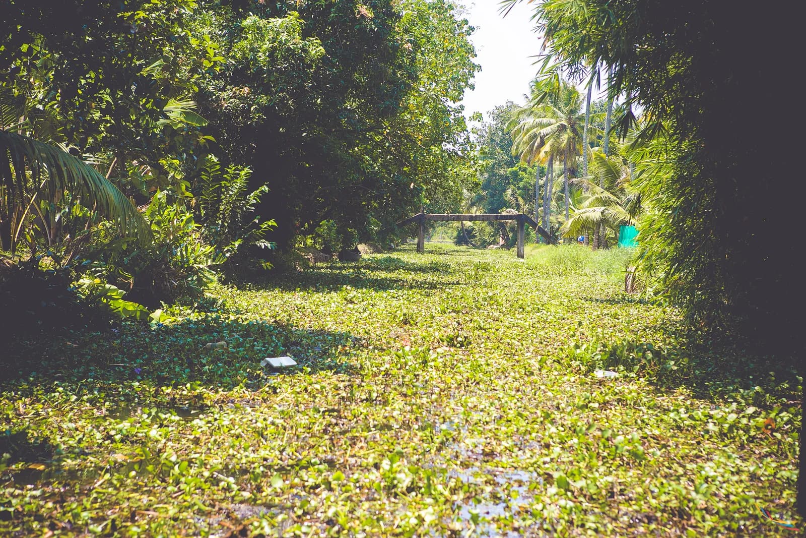 Kerala photo 15