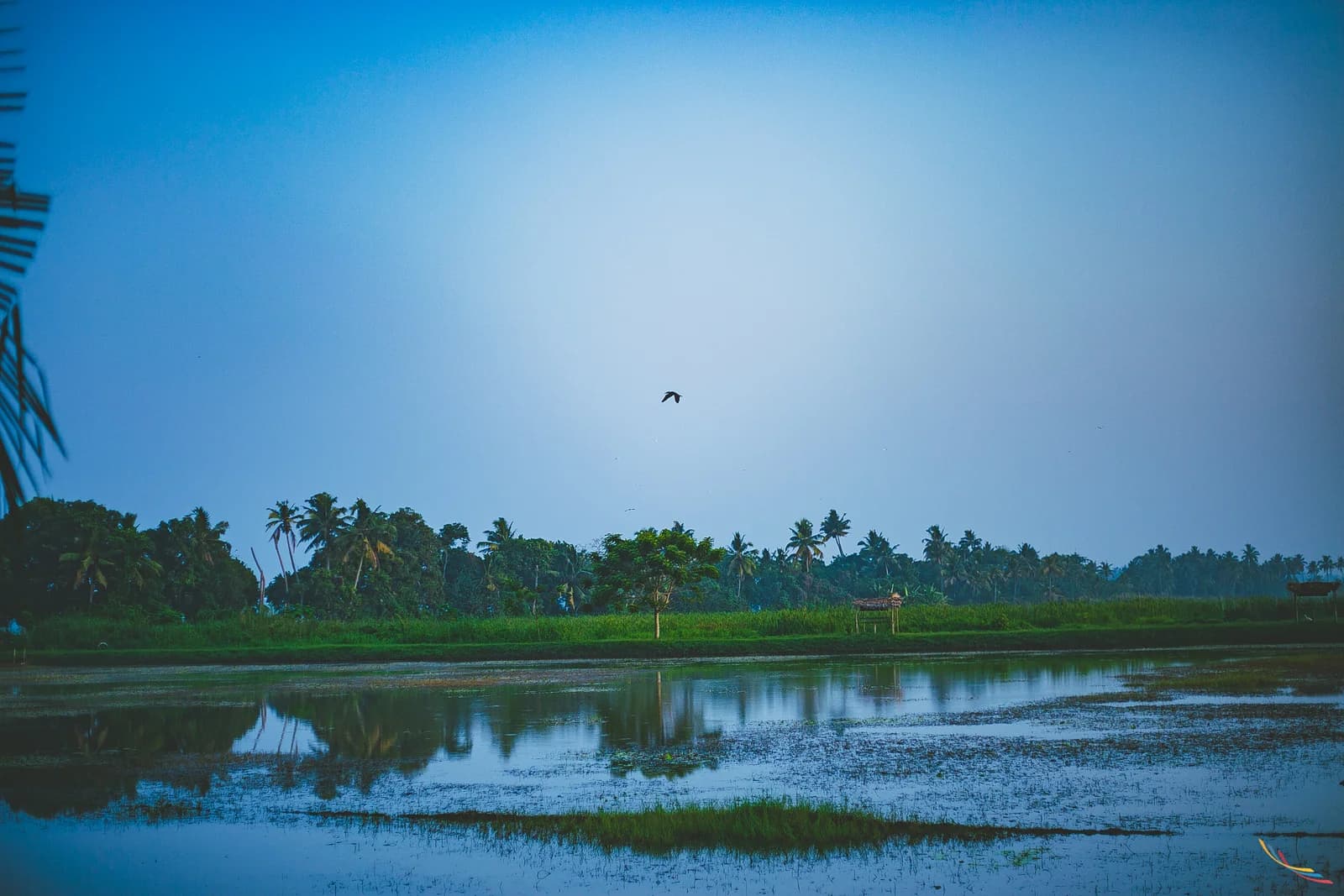 Kerala photo 23