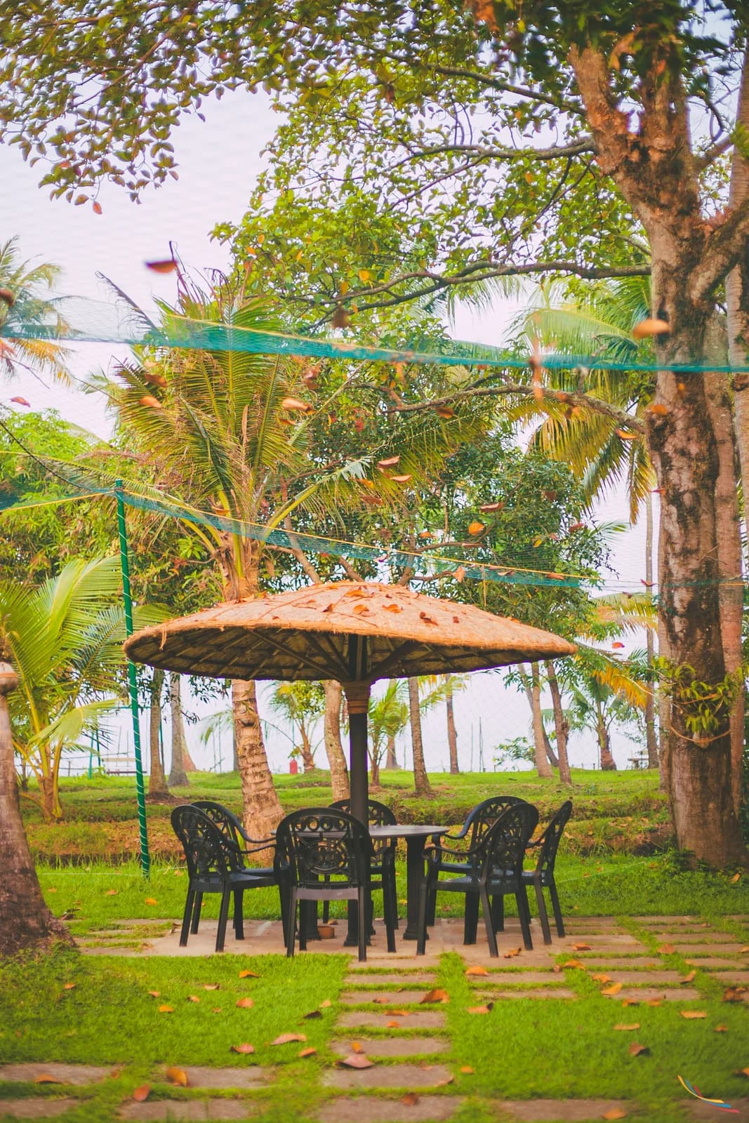 Kerala photo 25