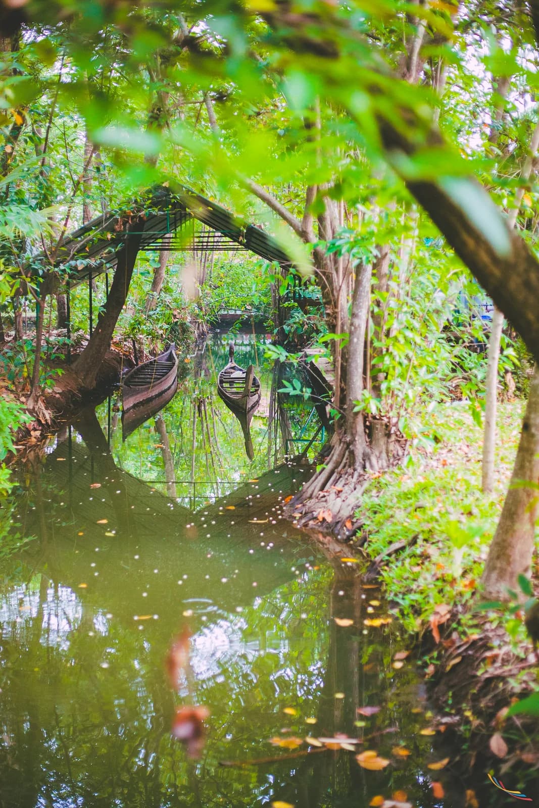Kerala photo 27