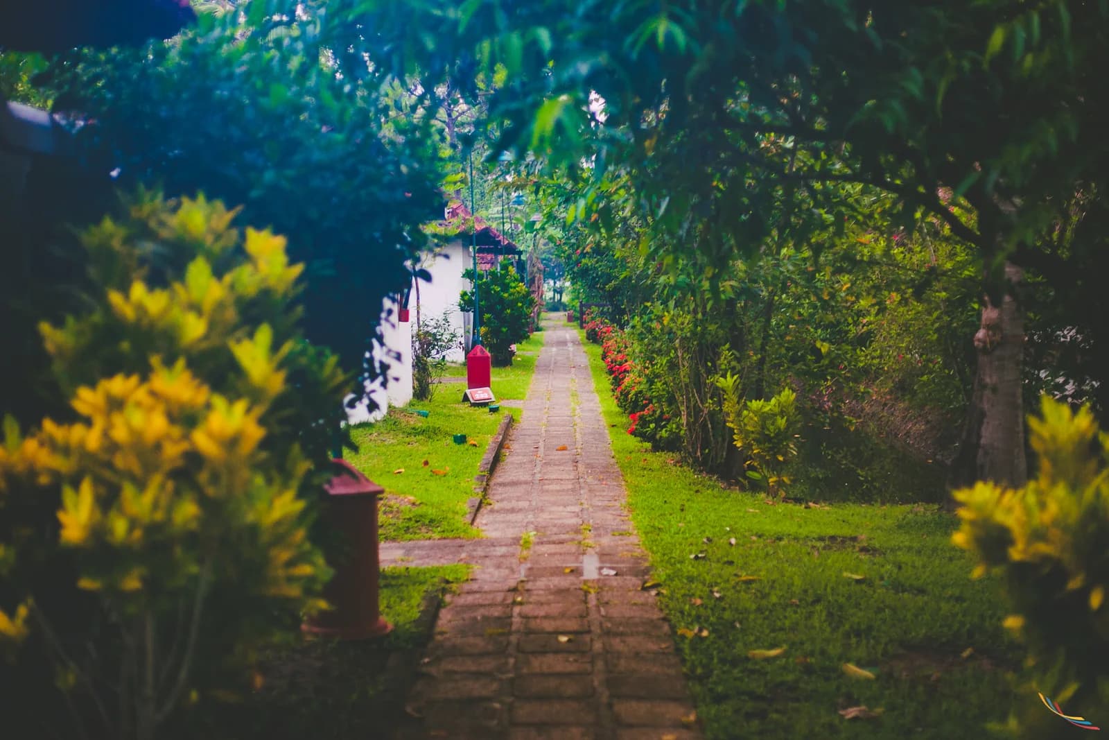 Kerala photo 29