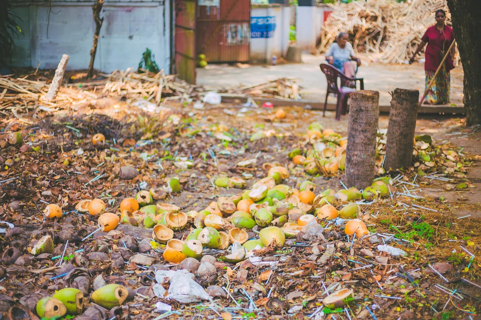 Kerala photo 50