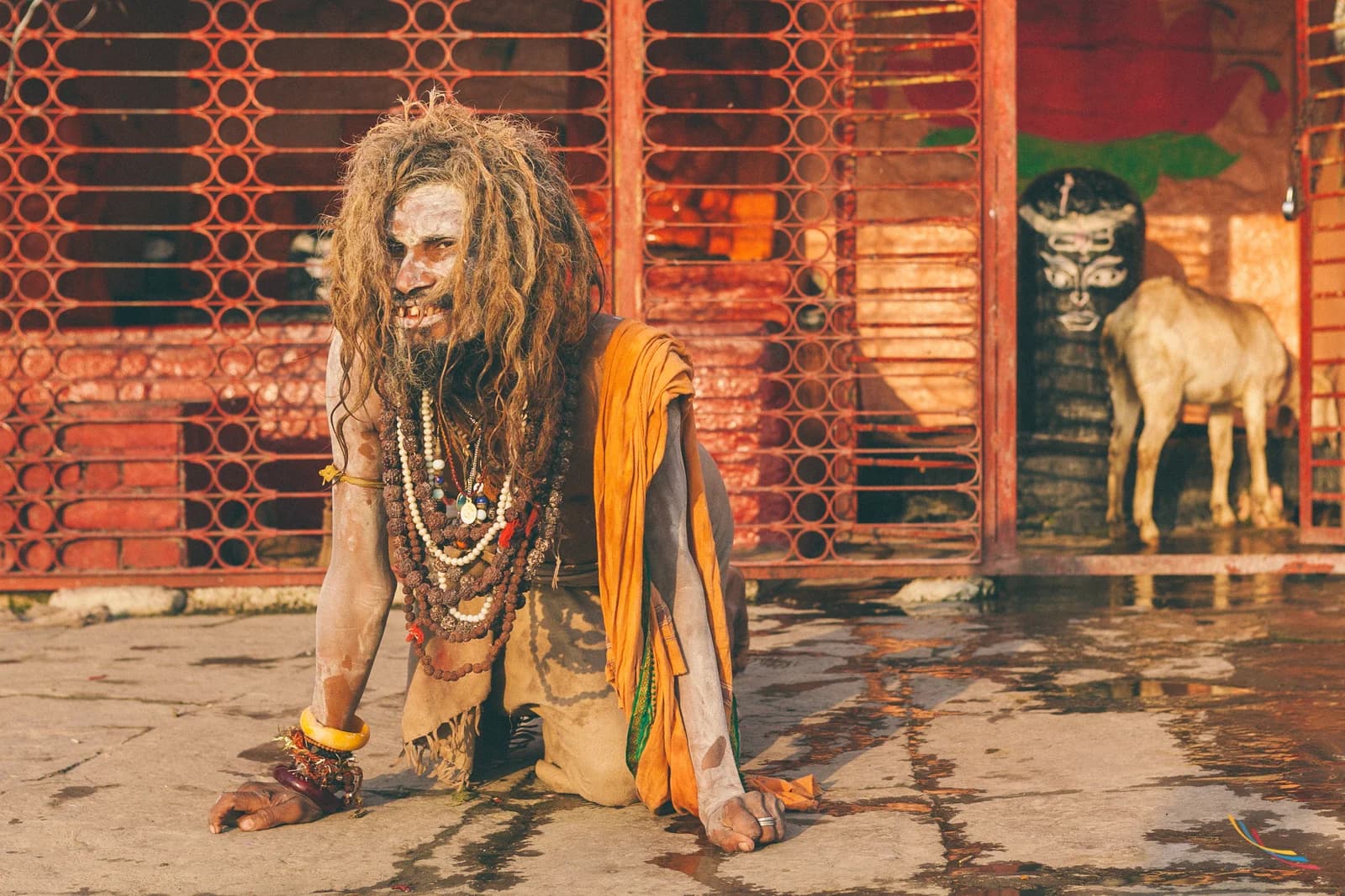 Maha Kumbh photo 27