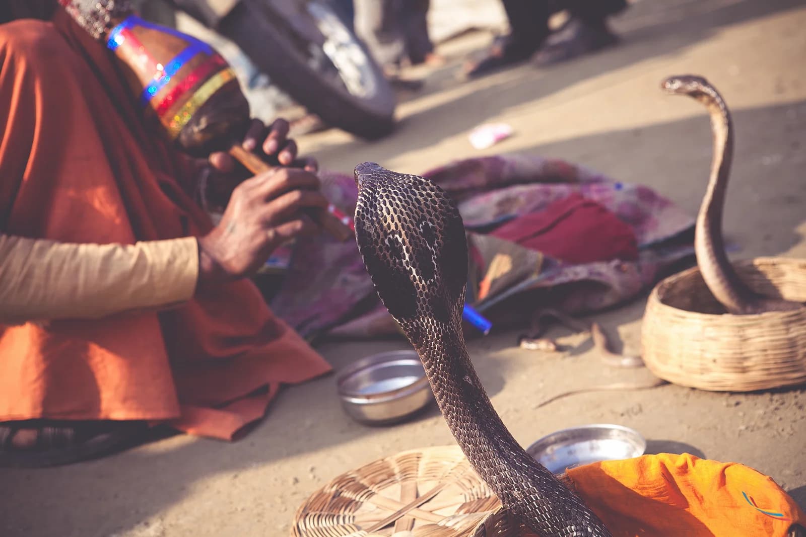 Maha Kumbh photo 59