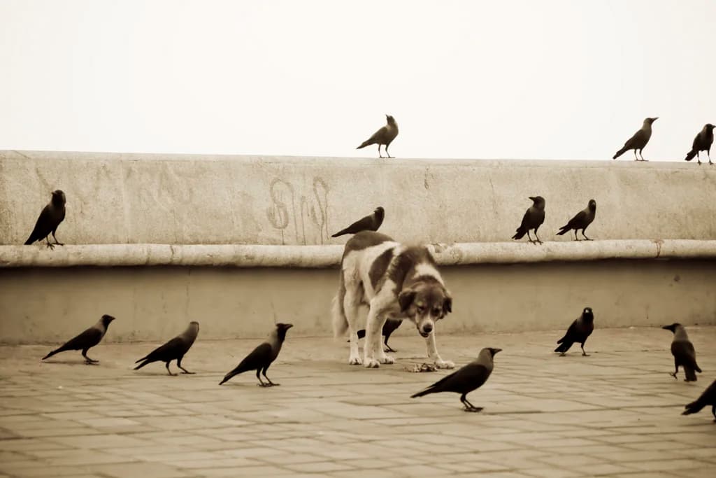 Mumbai photo 12