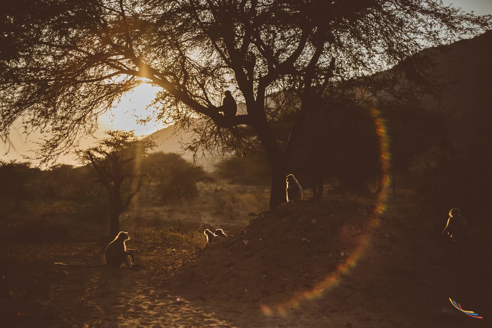 Pushkar photo 4