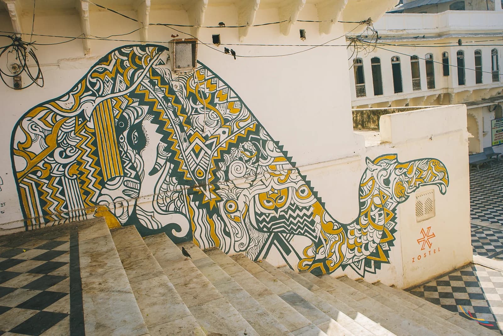 Pushkar photo 22