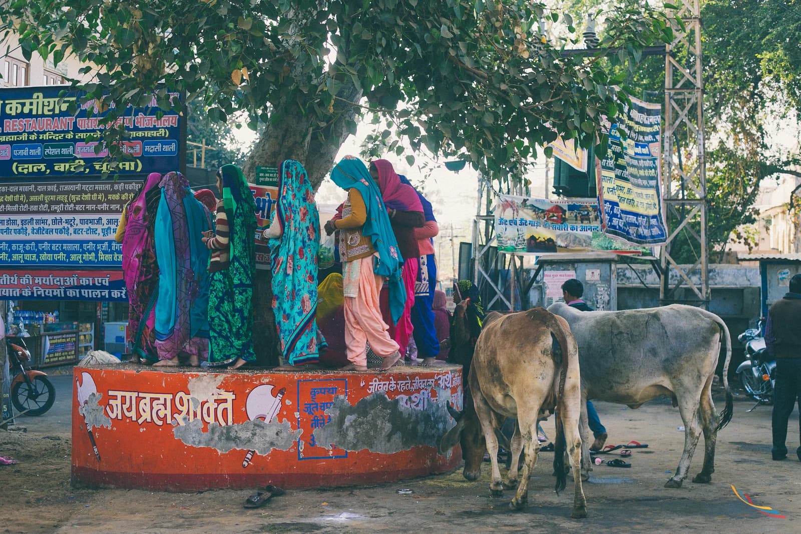 Pushkar photo 32