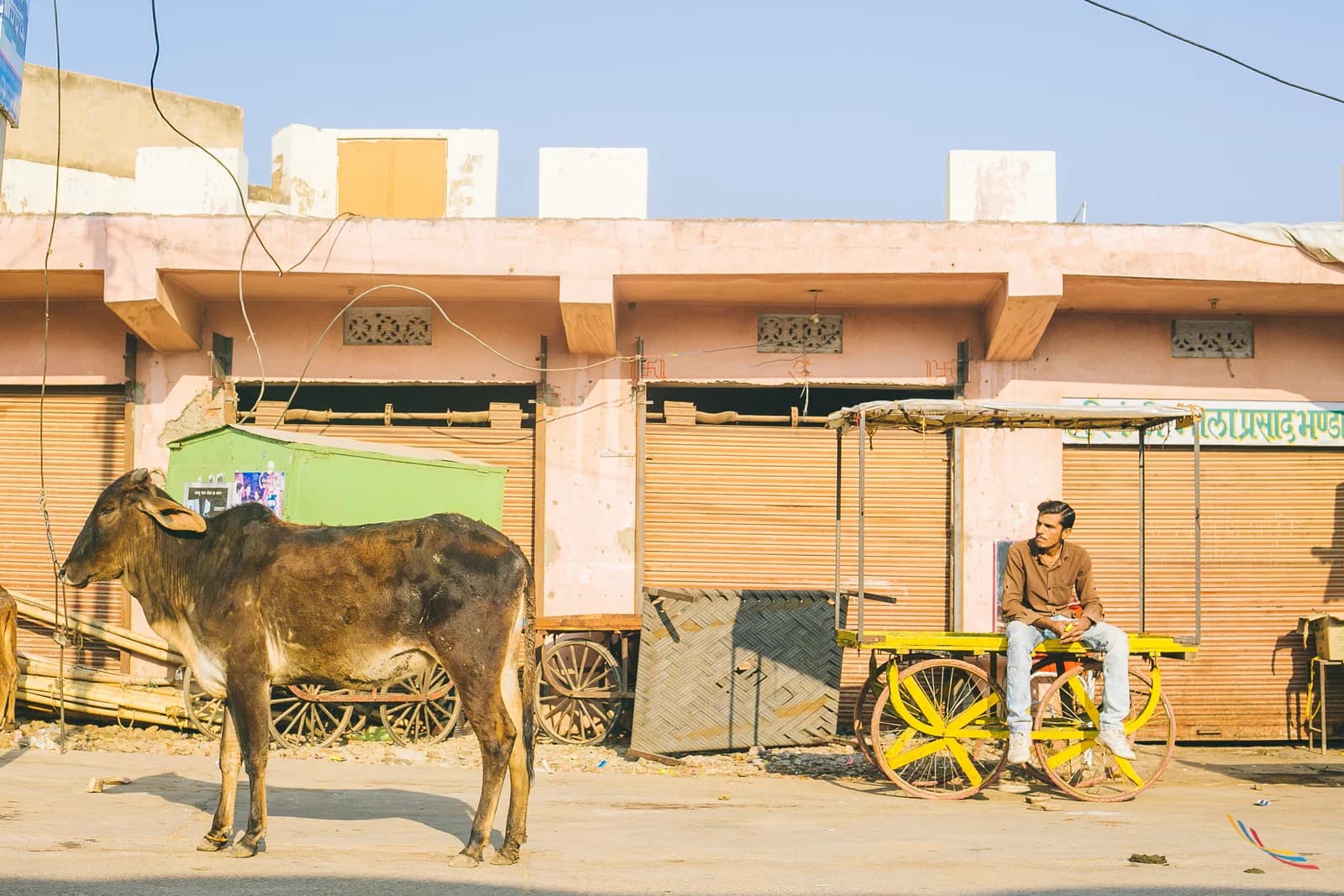 Pushkar photo 34