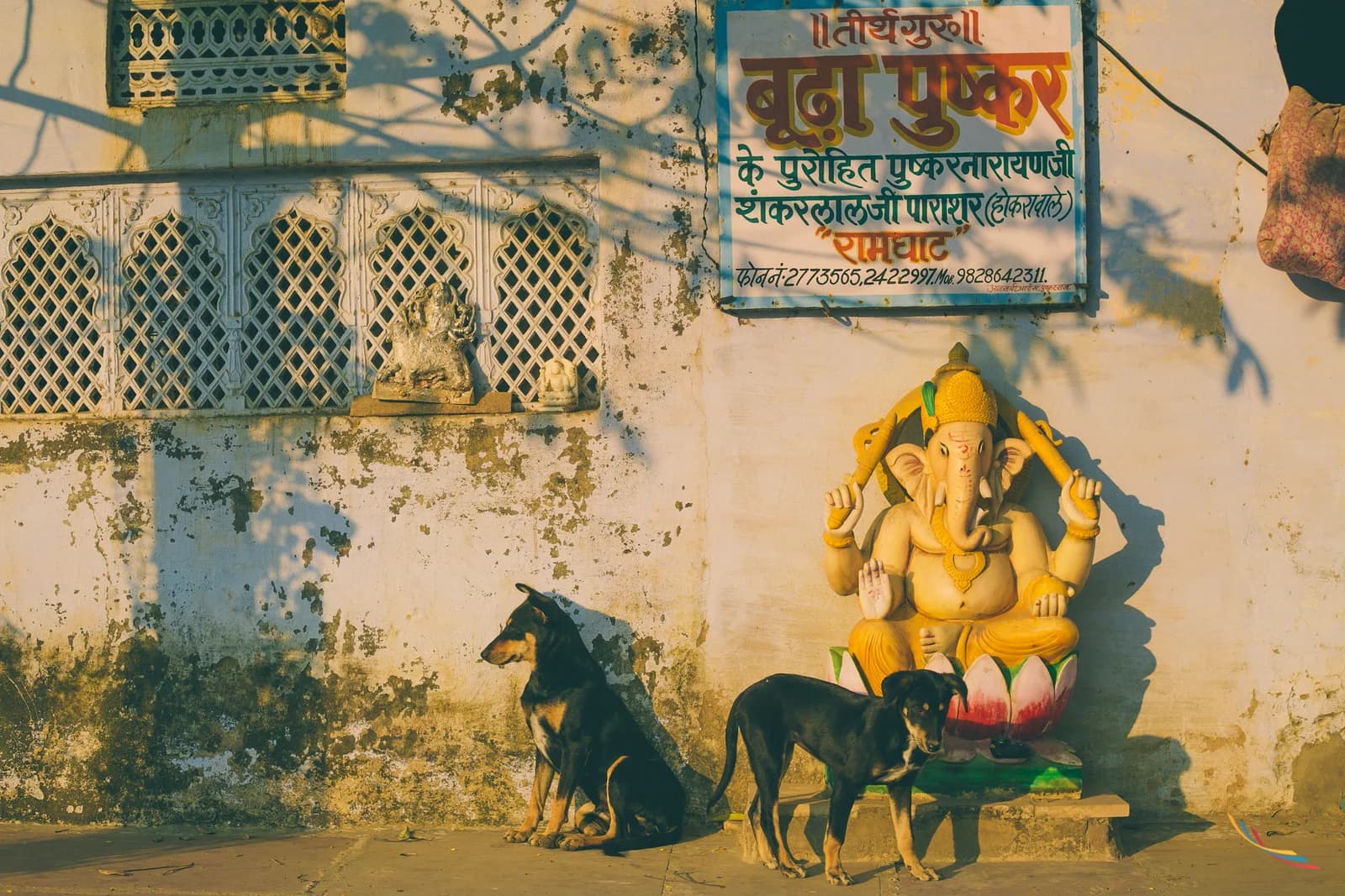 Pushkar photo 36