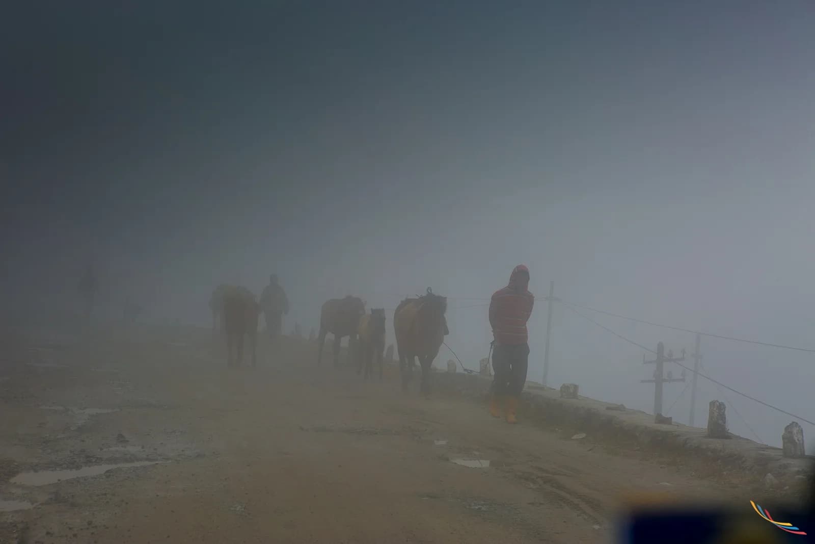 Sikkim photo 5