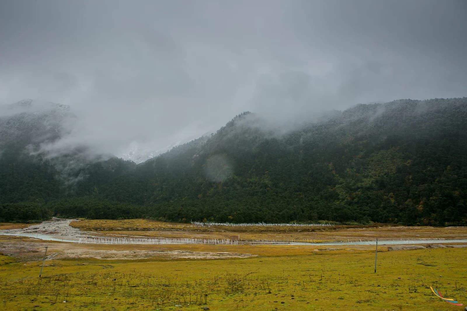 Sikkim photo 7