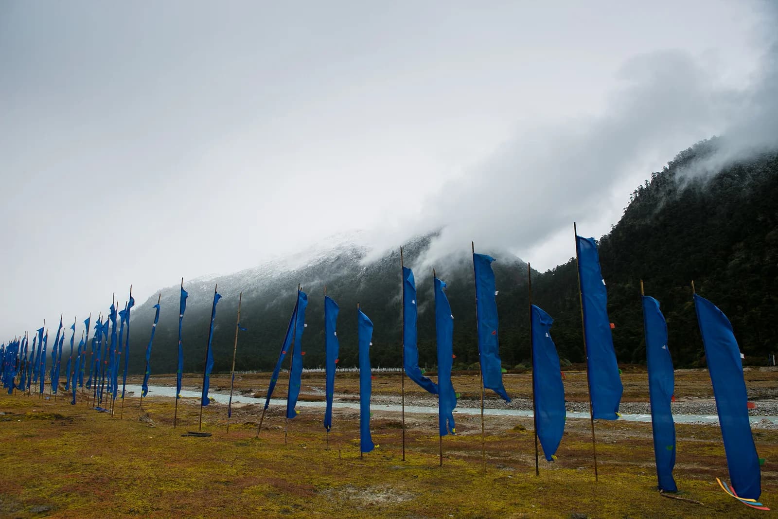 Sikkim photo 9