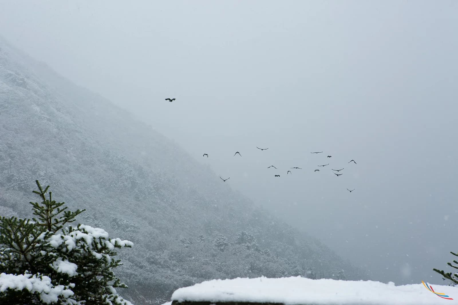 Sikkim photo 11