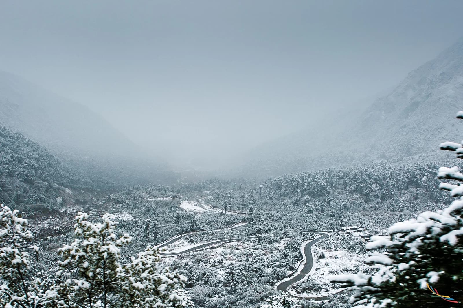 Sikkim photo 12