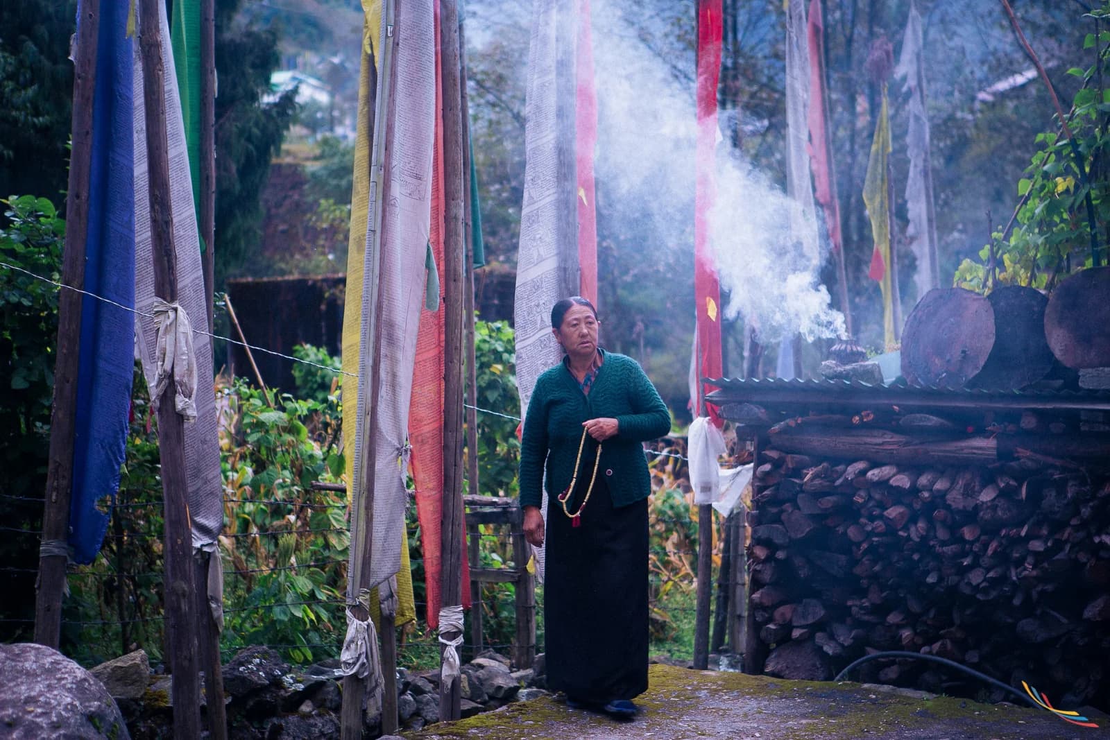 Sikkim photo 14