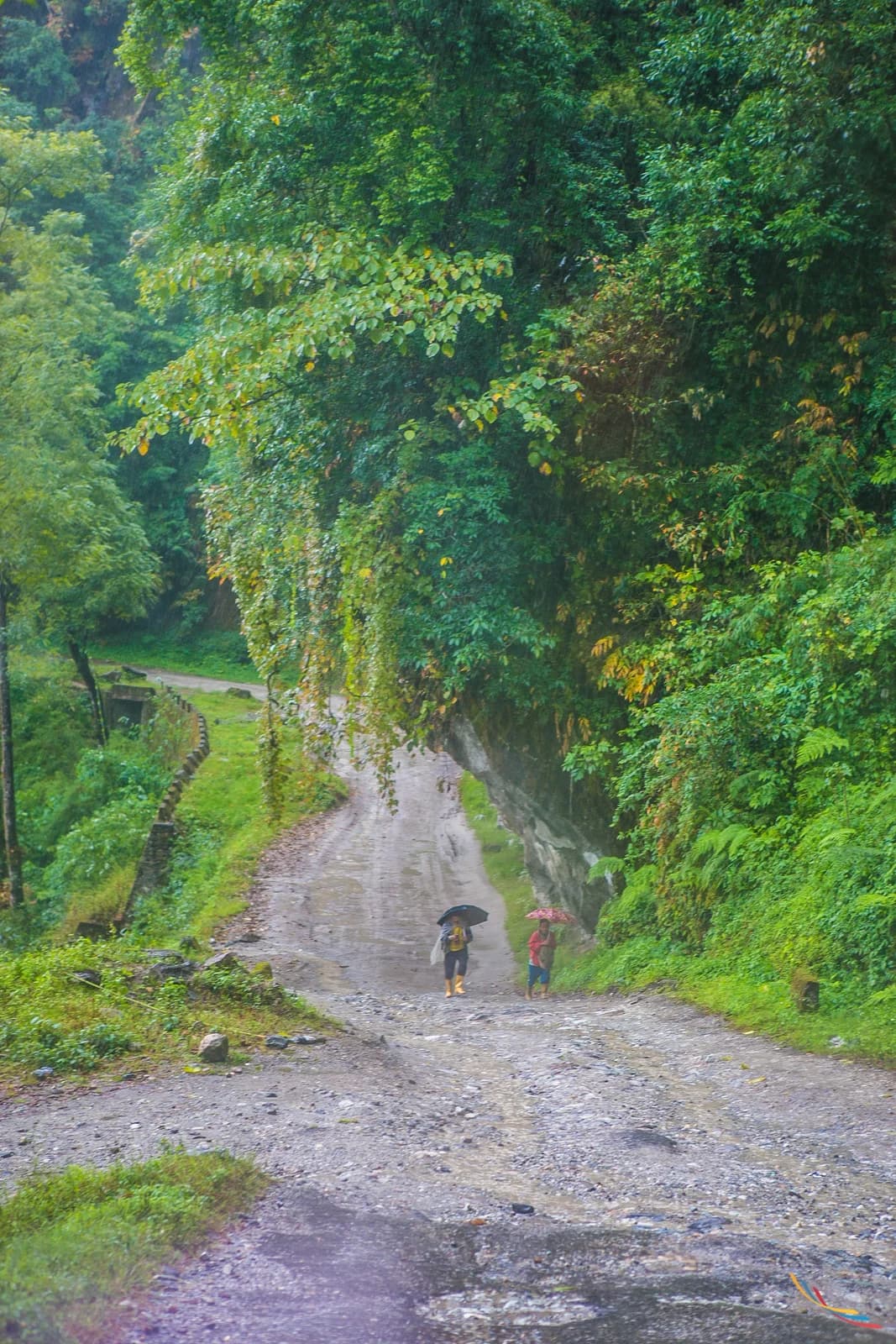 Sikkim photo 31