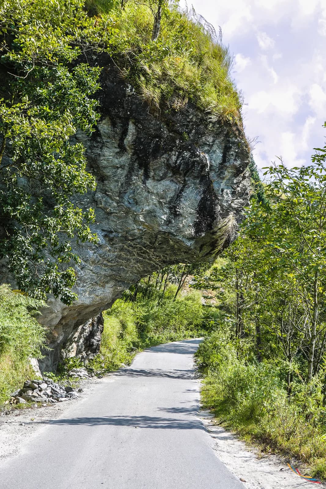 Sikkim photo 33