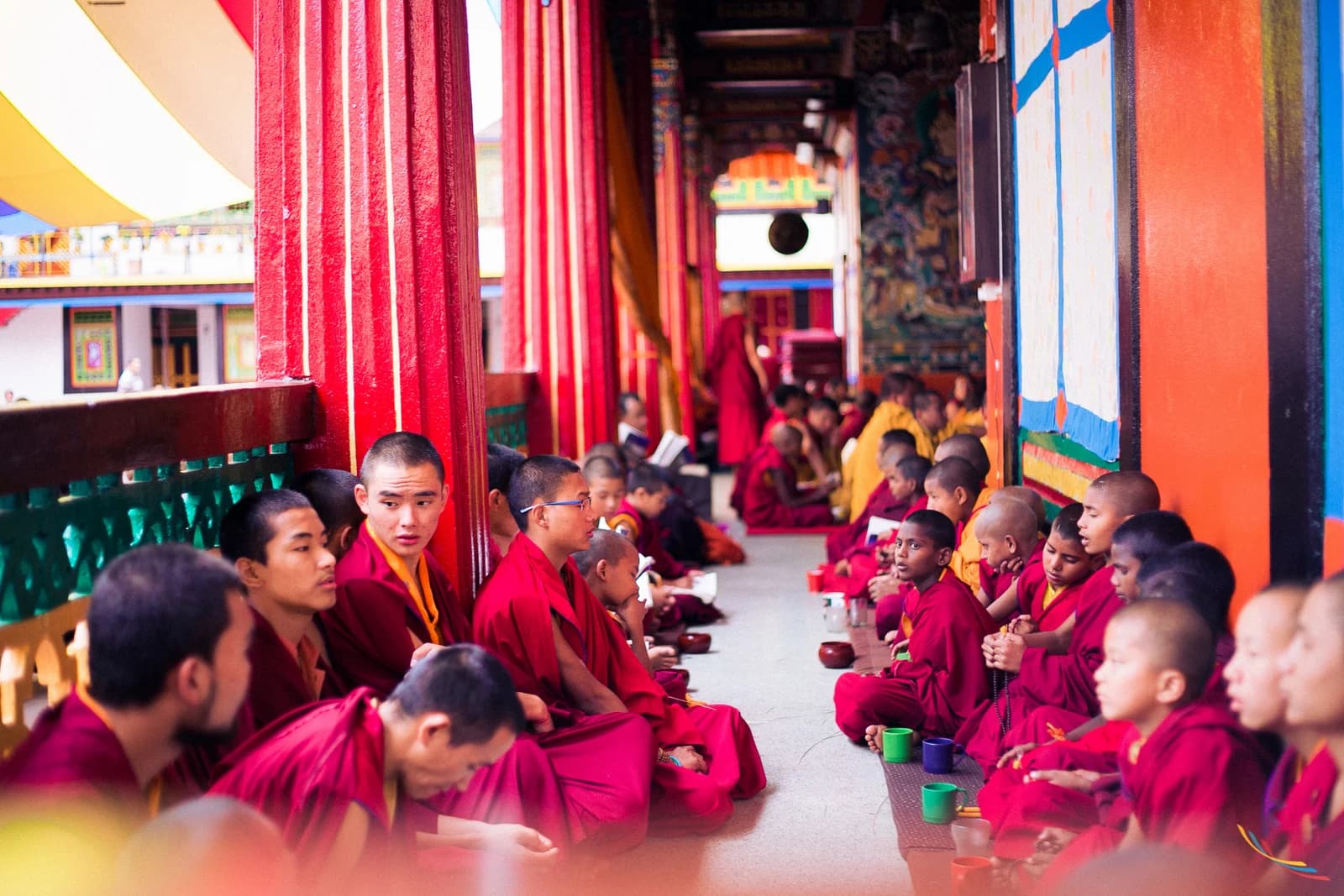 Sikkim photo 44