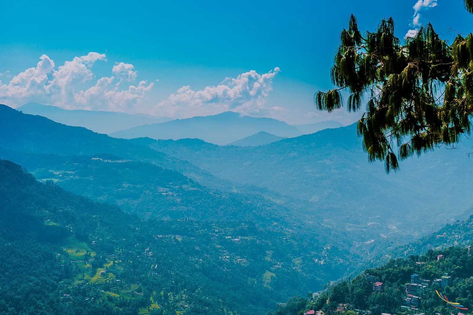 Sikkim photo 52