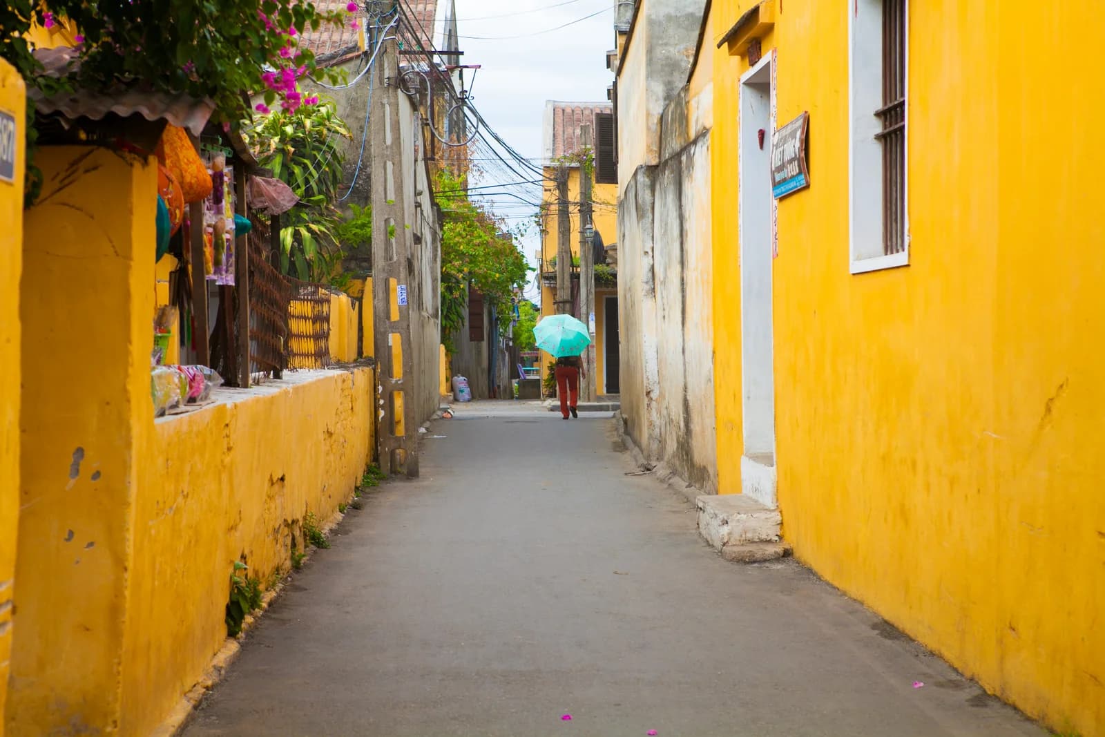 Vietnam photo 3