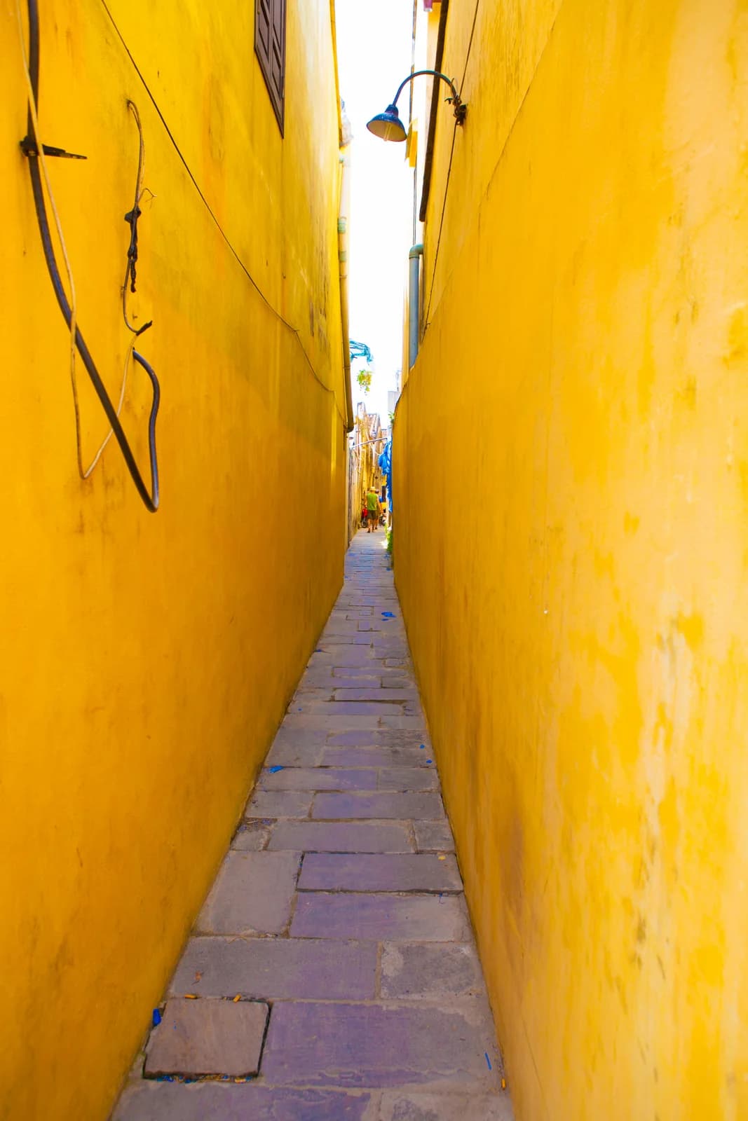 Vietnam photo 9