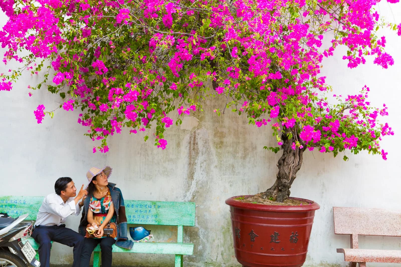 Vietnam photo 12