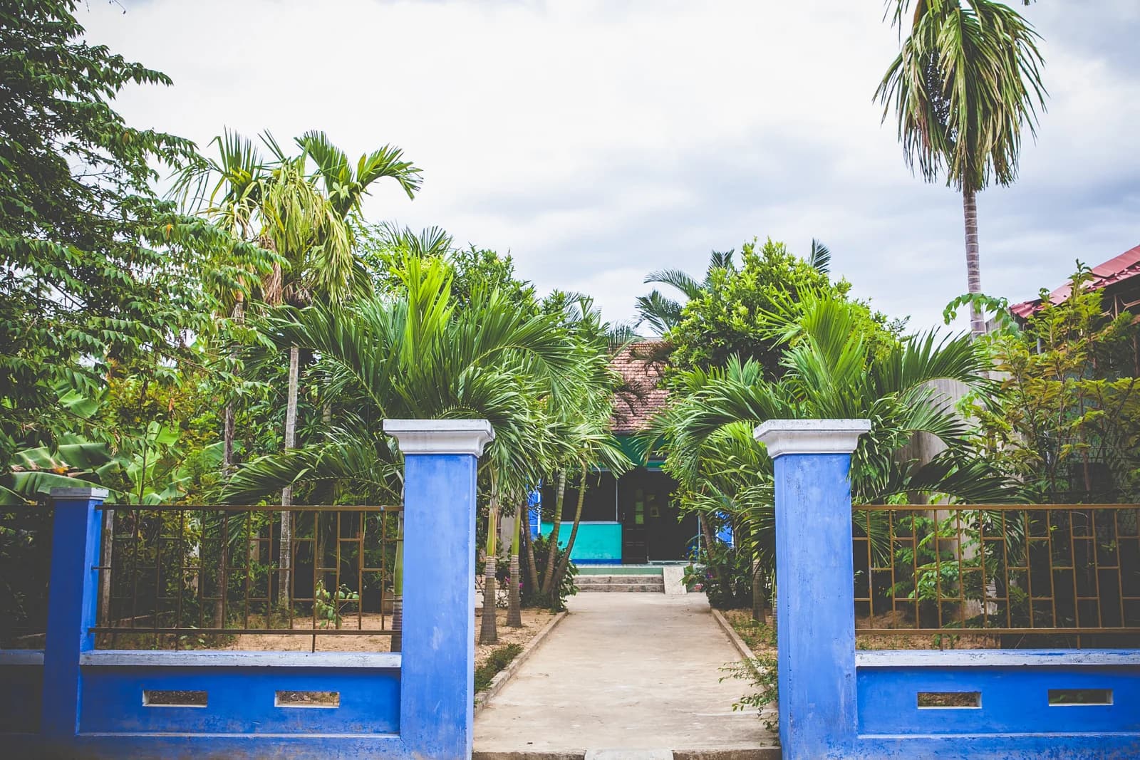 Vietnam photo 21