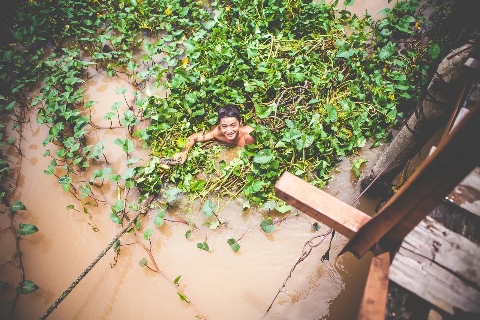 Vietnam photo 37
