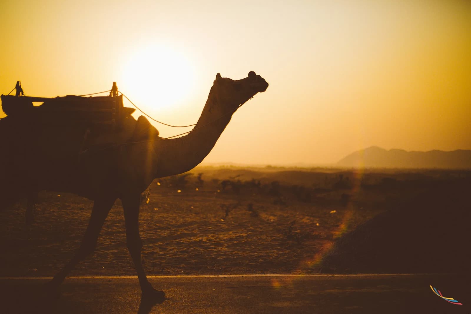 Pushkar photo 1