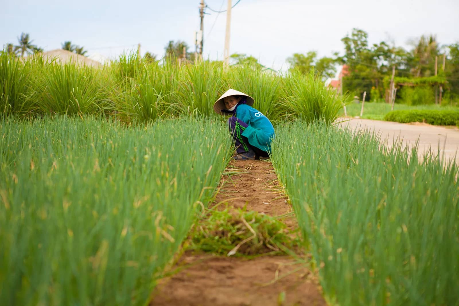 Vietnam photo 1