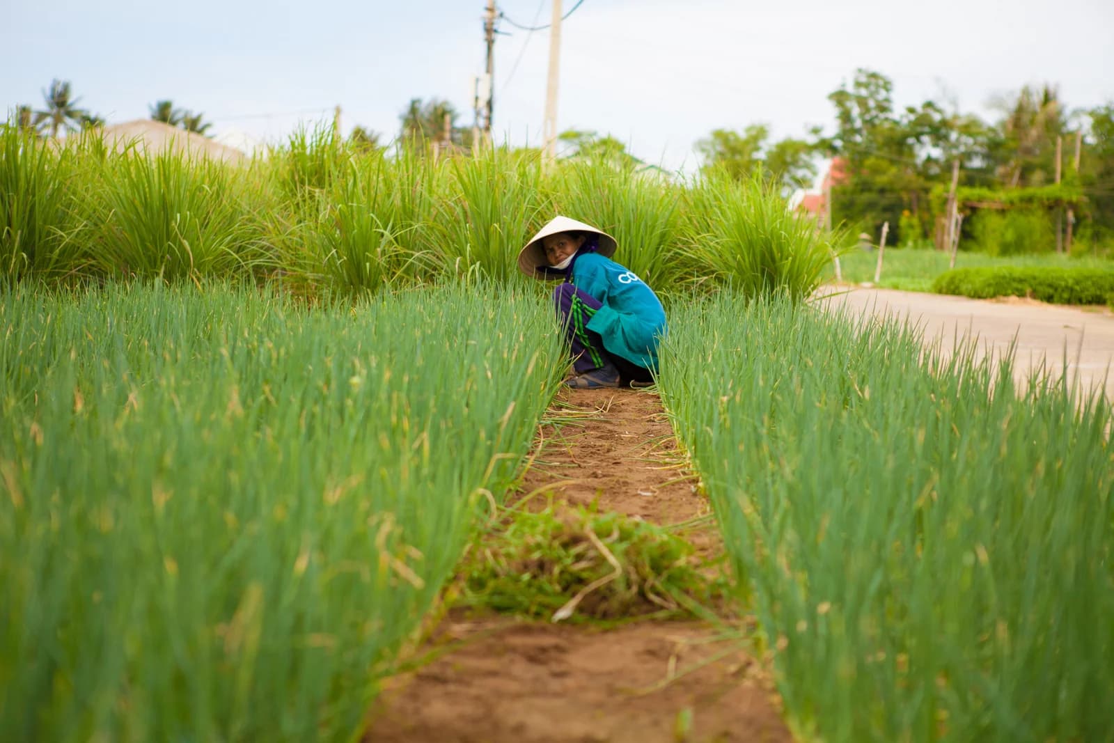 Vietnam photo 1